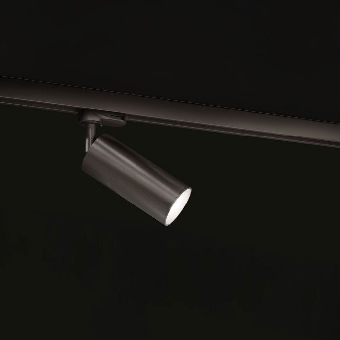 CICCIO 13 spotlight - track