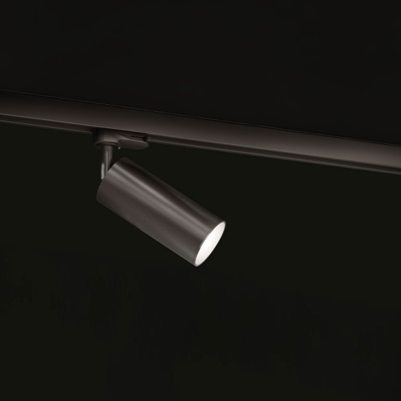 CICCIO 13 spotlight - track