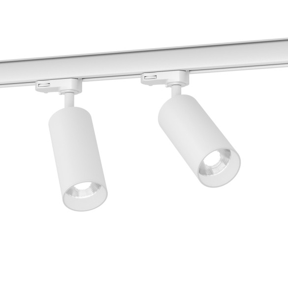 CICCIO 13 spotlight - track