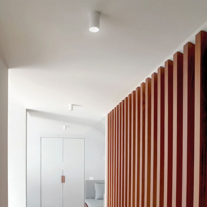 CICCIO 13 ceiling light