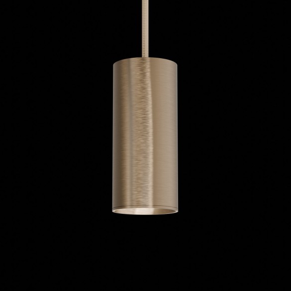 Organo CICCIO 13 - incasso