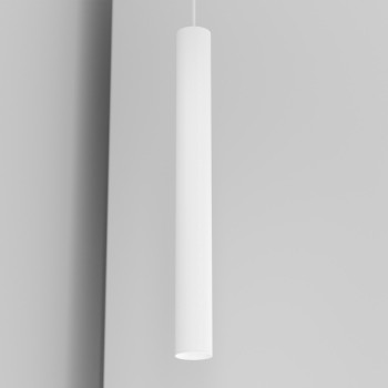 CICCIO 55 organ - track