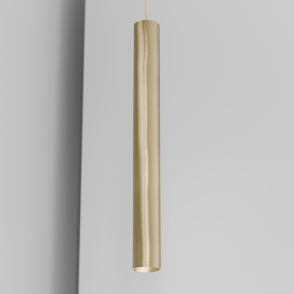 CICCIO 55 organ - track