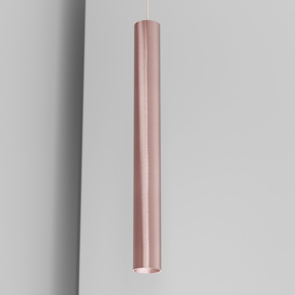 CICCIO 55 organ - track