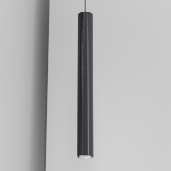 CICCIO 55 organ - track