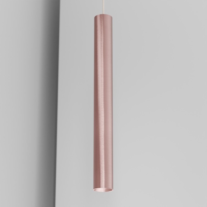 Organo CICCIO 55 - incasso