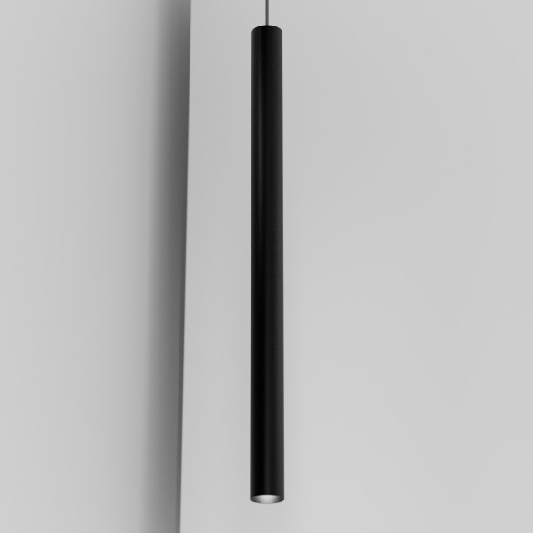 Organo CICCIO 89 - binario