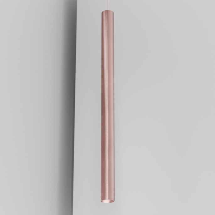 Organo CICCIO 89 - incasso