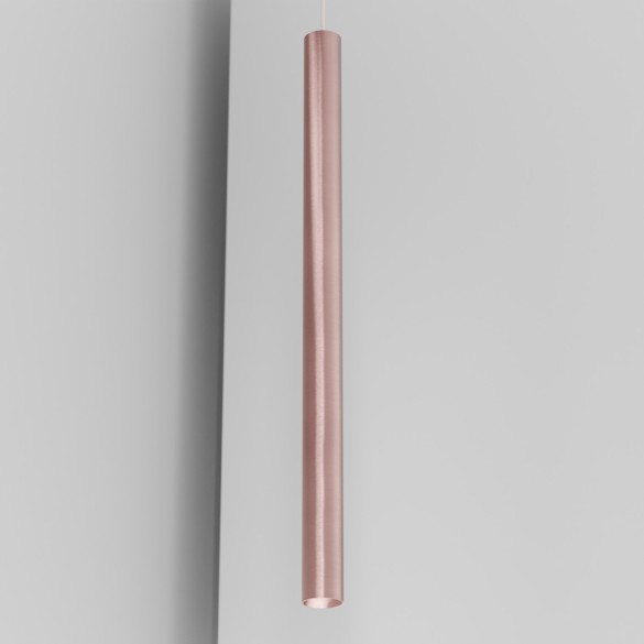 Organo CICCIO 89 - incasso