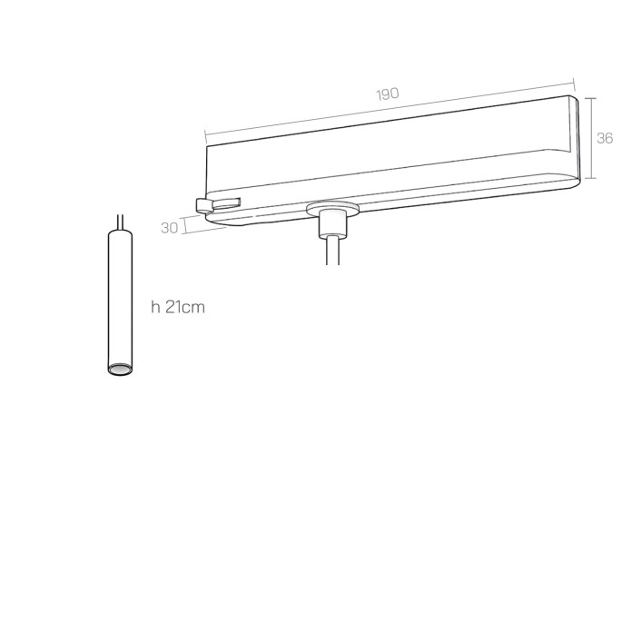 Organo SMILZO 21 - binario